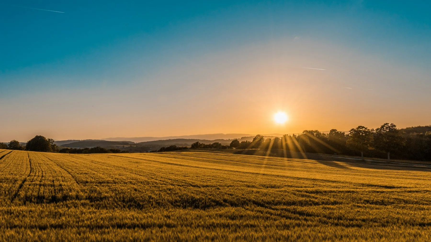 Golden hour view of Neilcamm78 1104 greenway trail